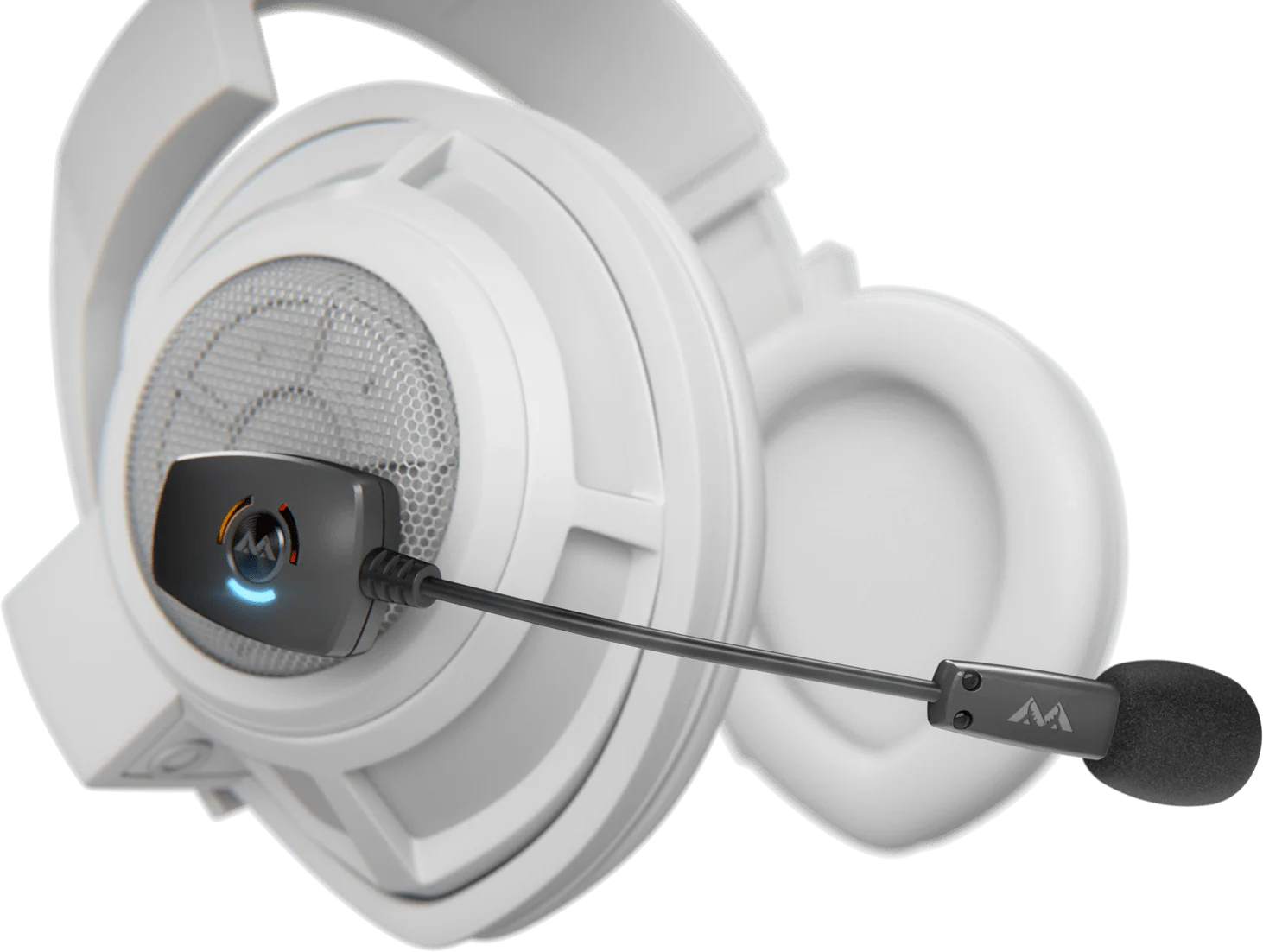 Welcome to Our Store